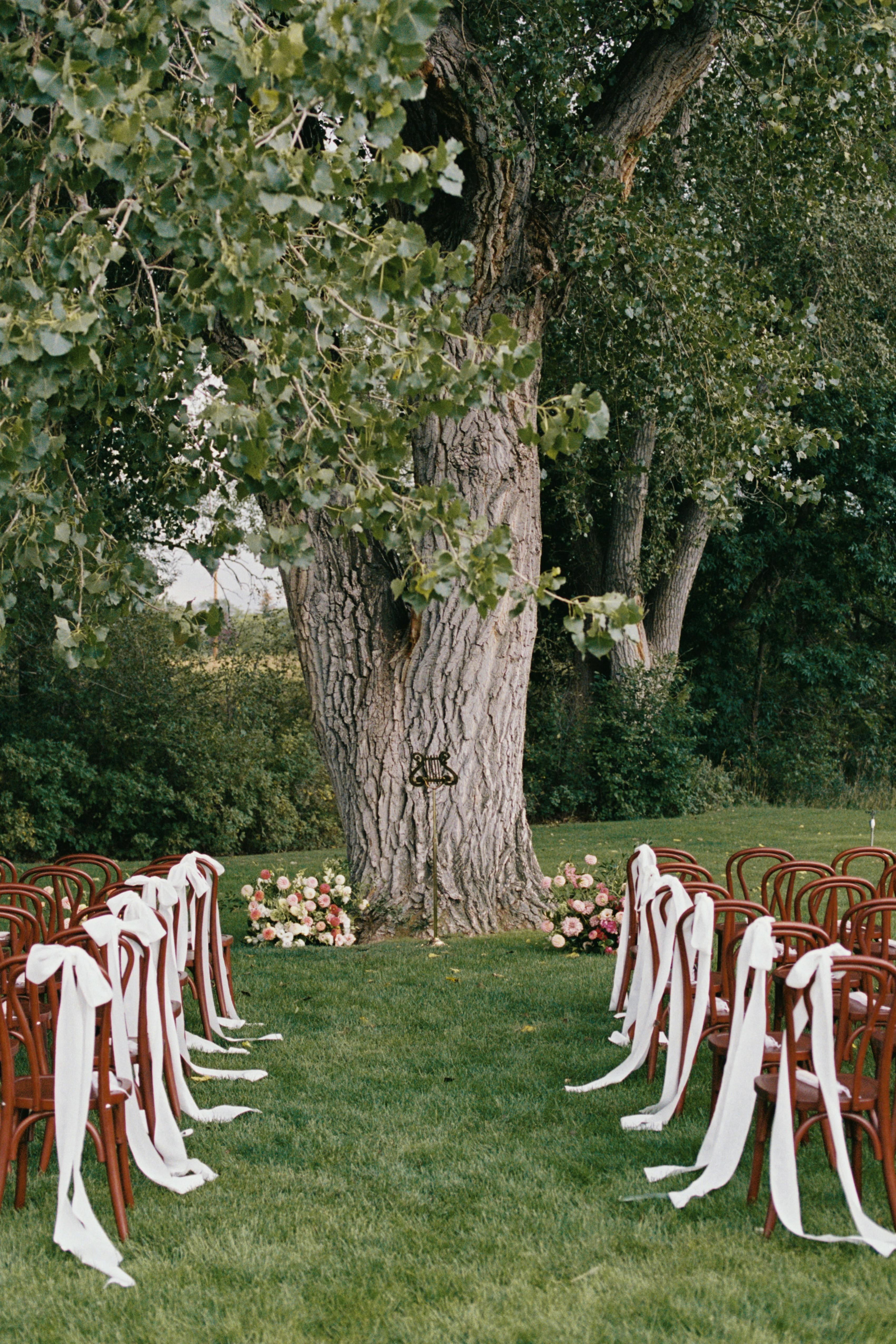 Simple backyard wedding ceremony setup with chocolate brown chairs and white bows