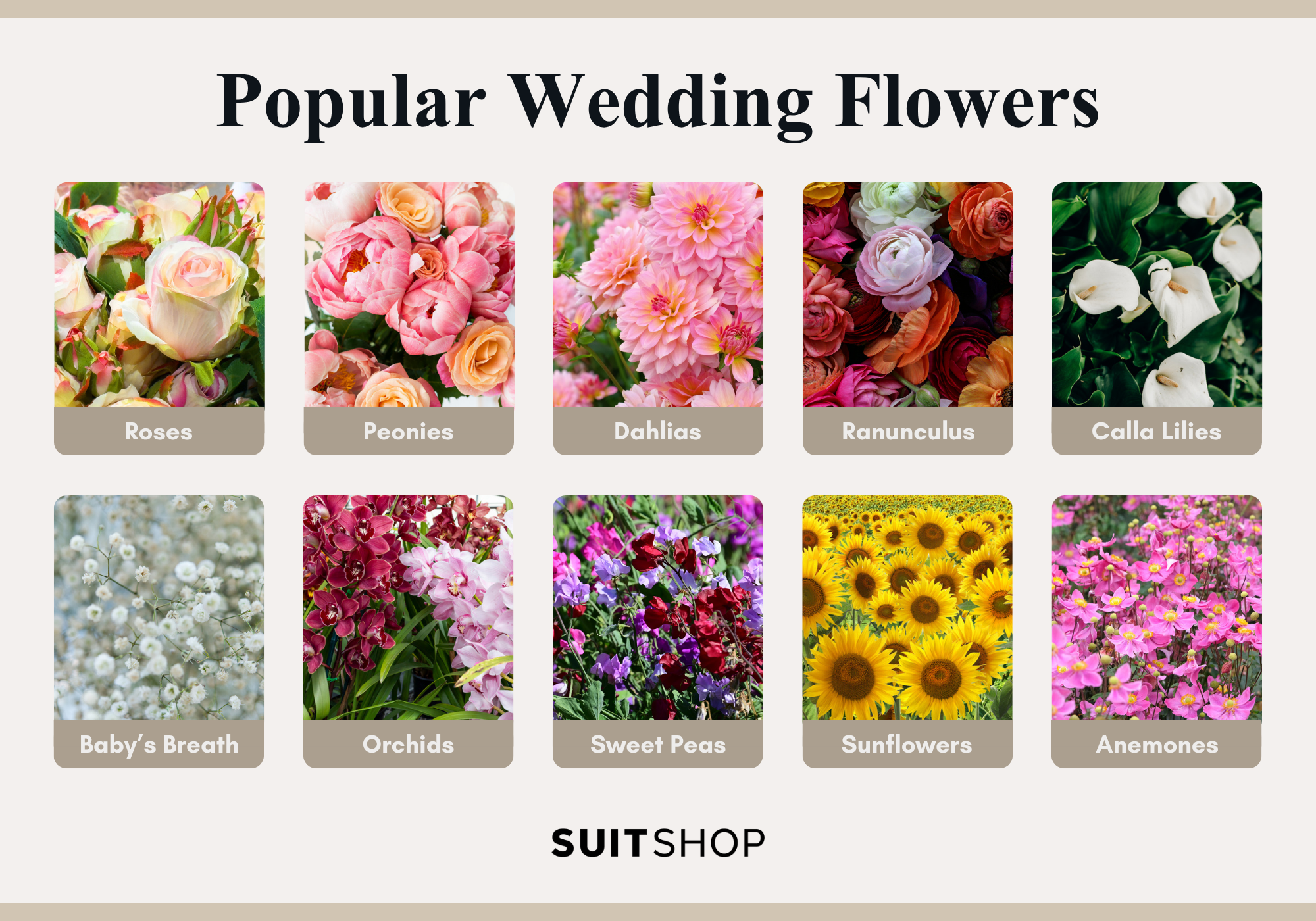 Infographic showing the 10 most popular flowers for weddings.
