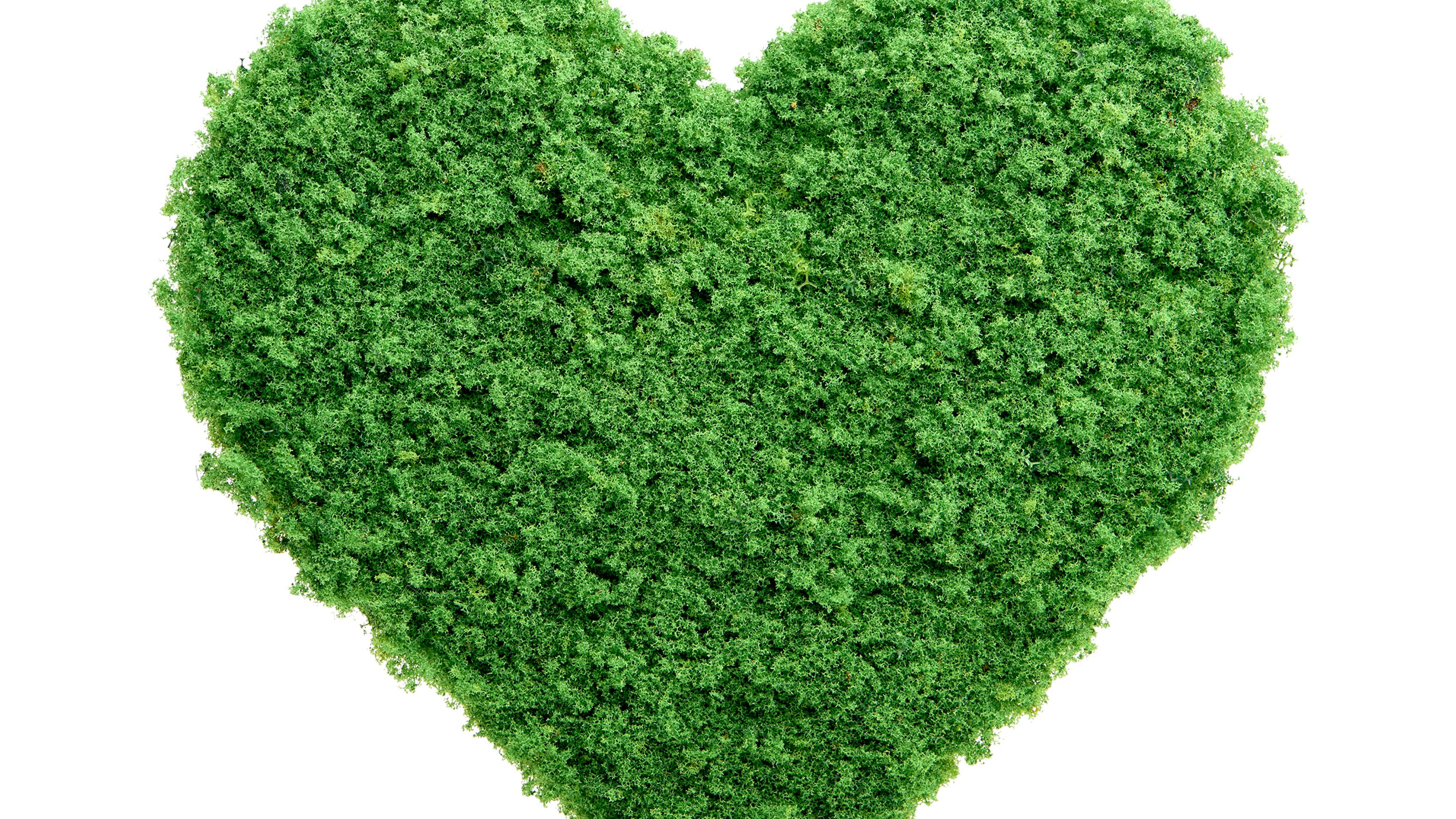how to have a sustainable wedding