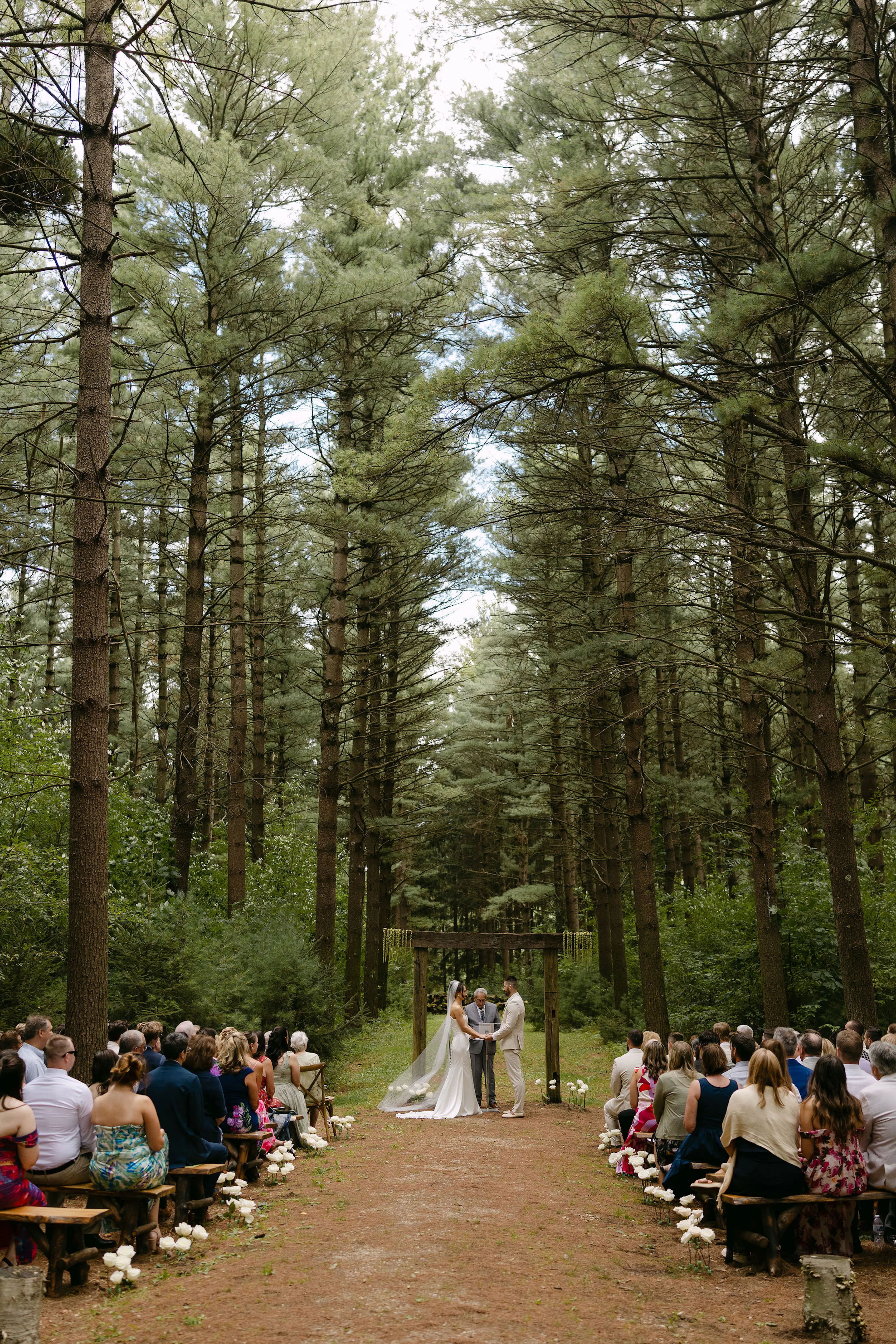 Summer wedding ceremony in the woods