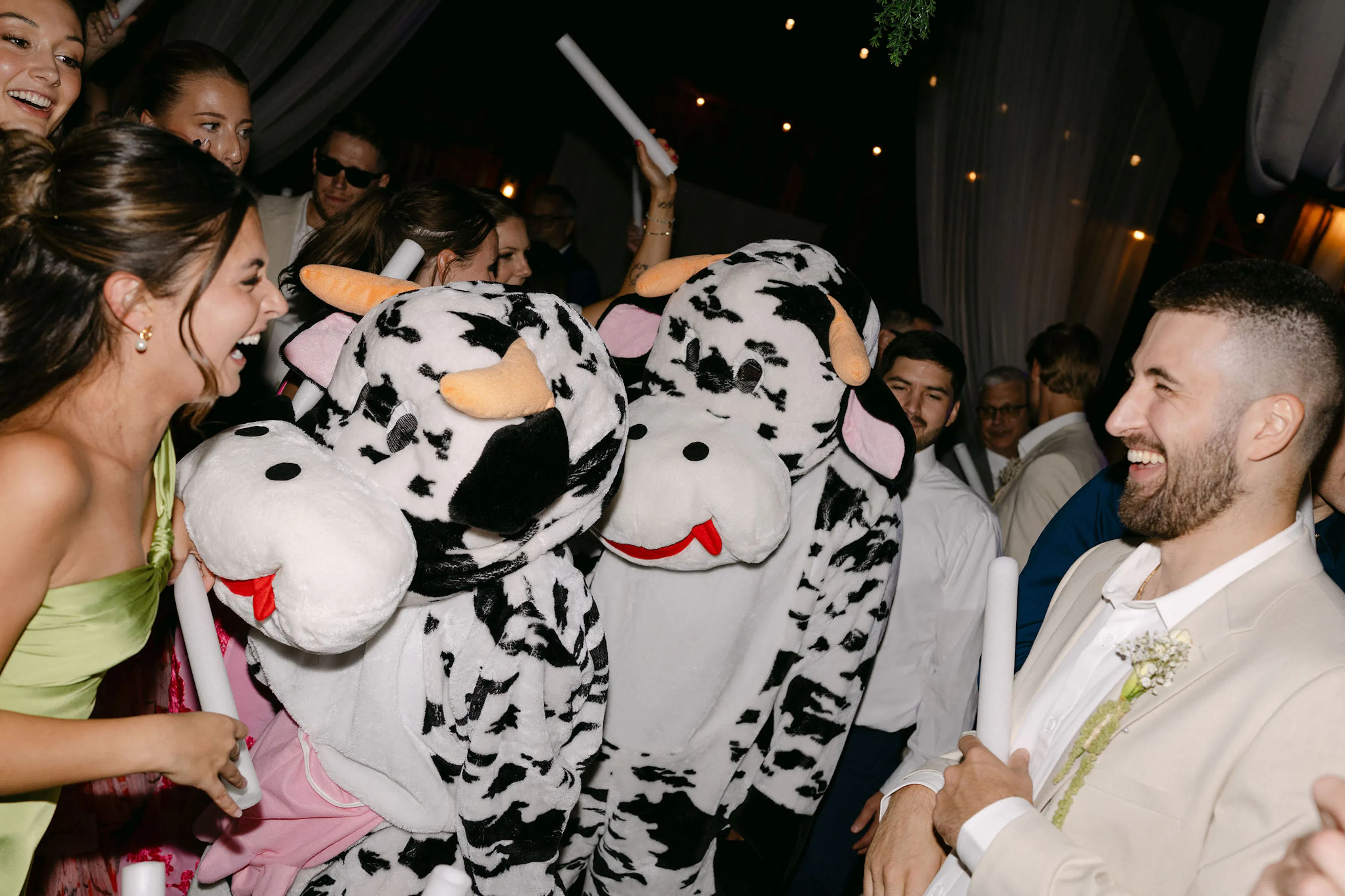 Barn wedding reception dance floor with fun cow outfits