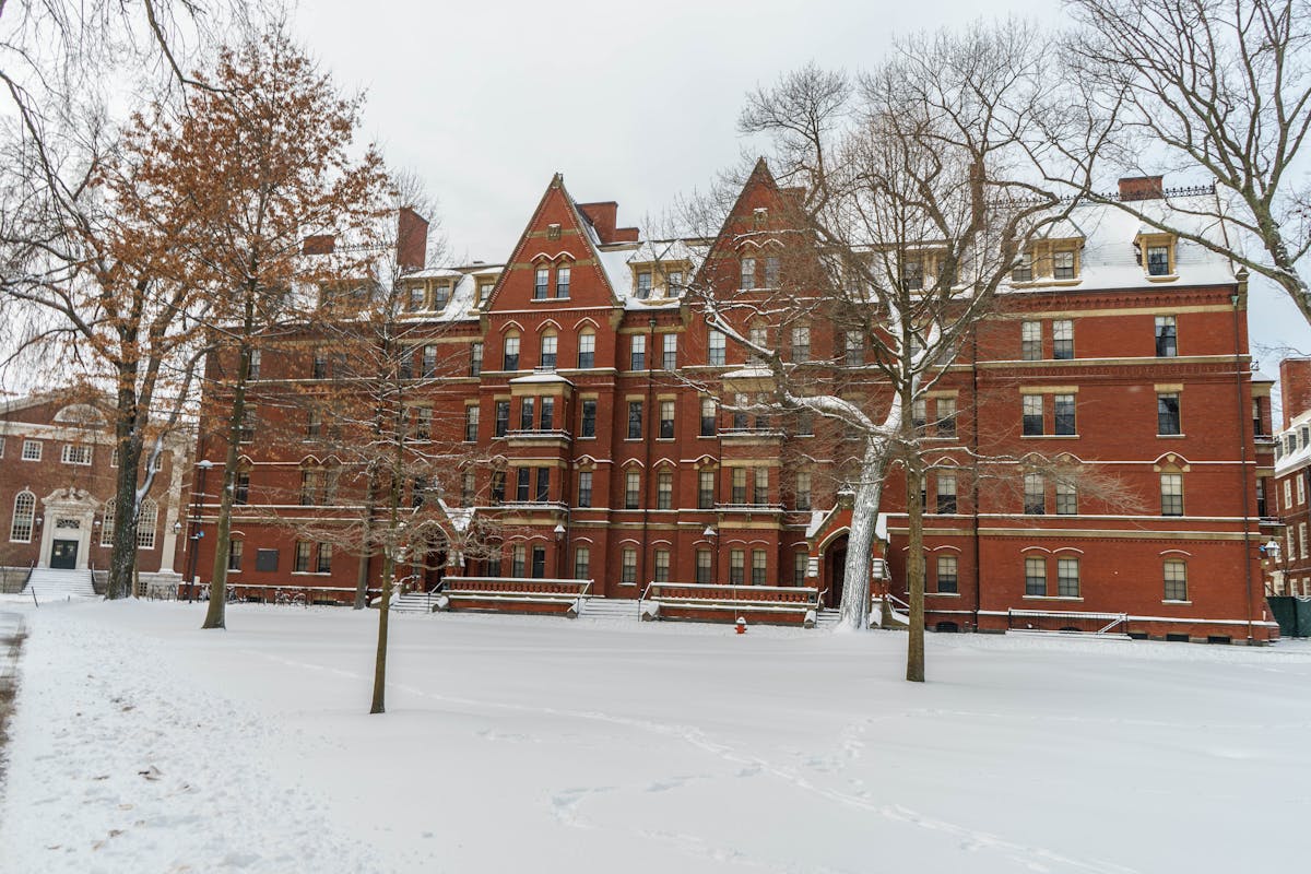 TGS was a proud sponsor of Harvard Business School’s annual holiday black tie event, Holidazzle