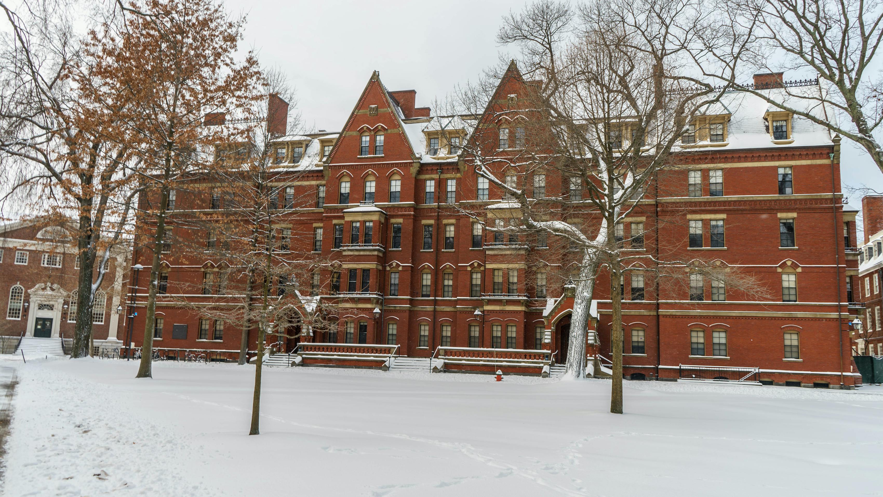 TGS was a proud sponsor of Harvard Business School’s annual holiday black tie event, Holidazzle