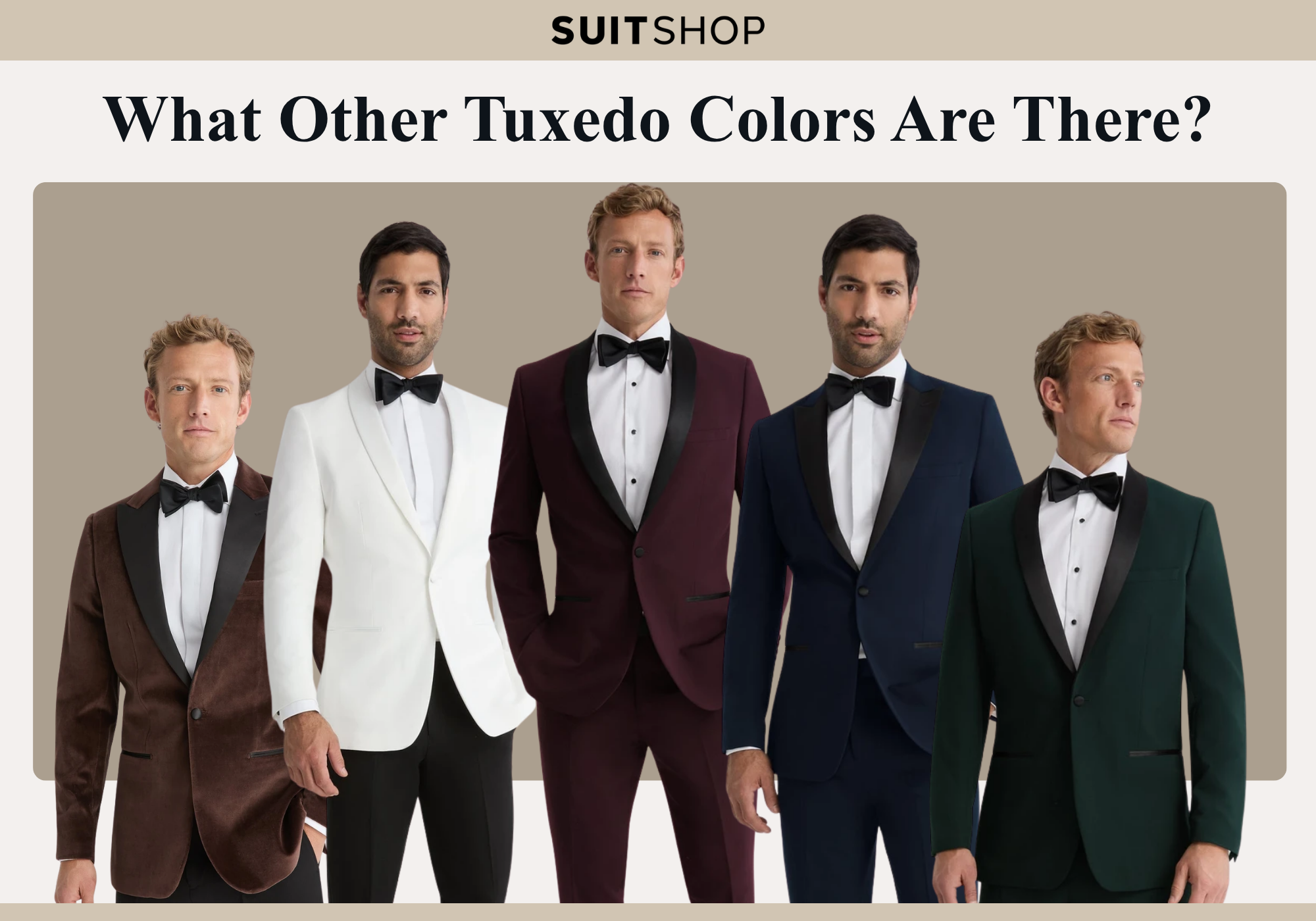 Tuxedo color options guide featuring black, white, burgundy, navy, and green tuxedo styles.