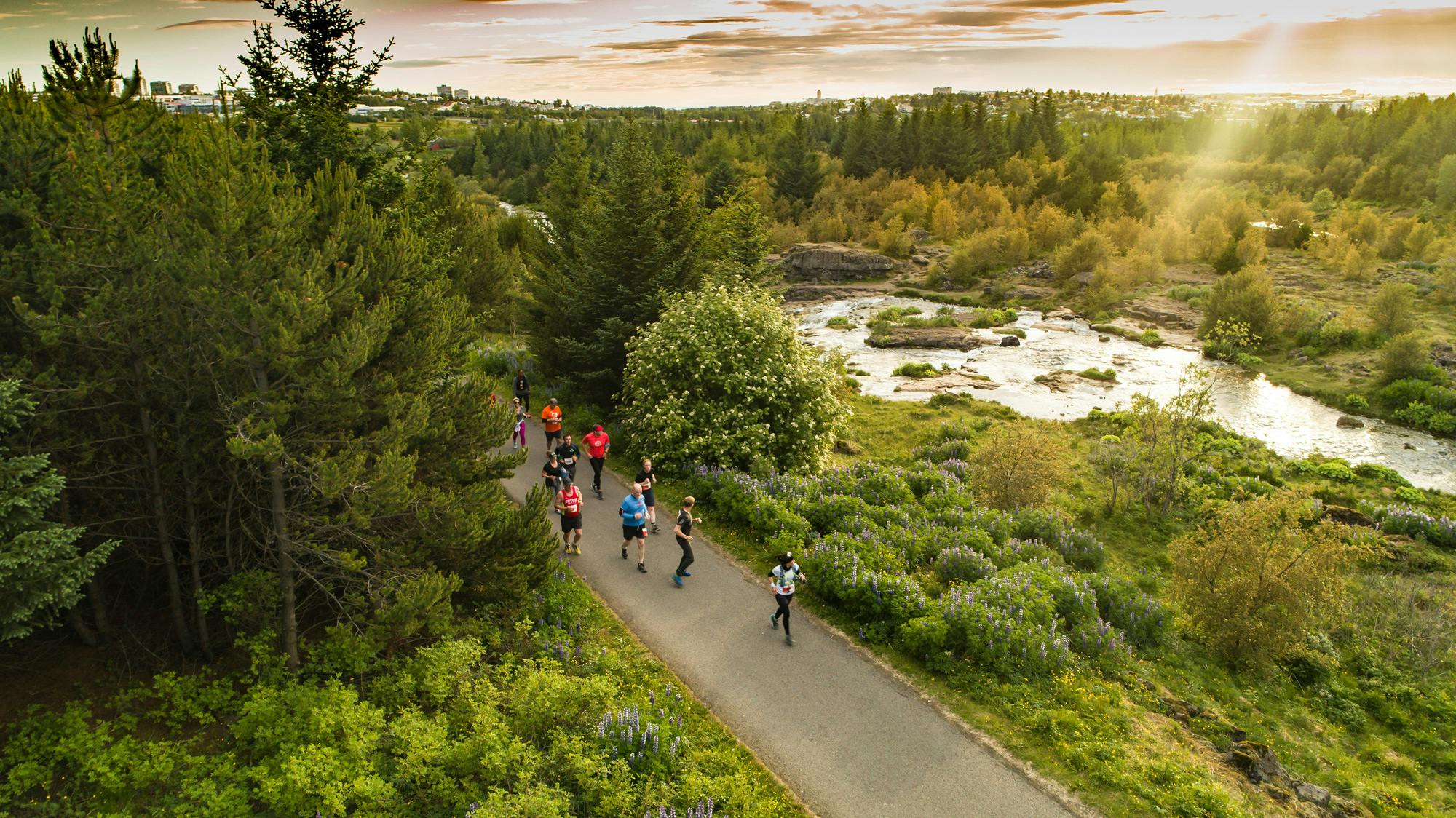 Hlauparar í Elliðaárdalnum