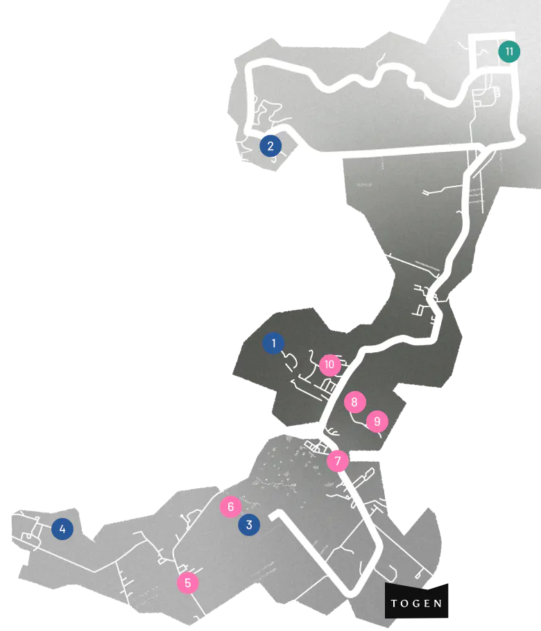the map