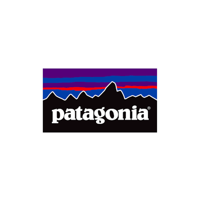 patagonia logo