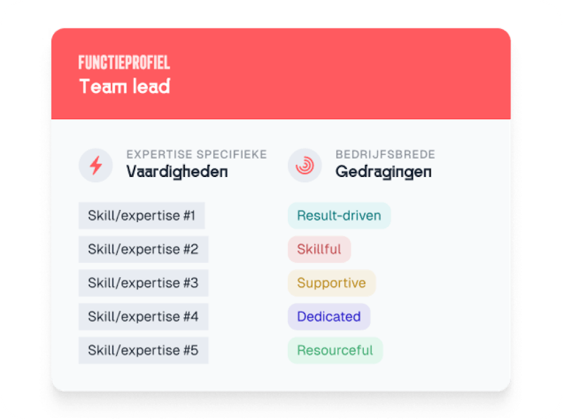 profile of a teamlead 