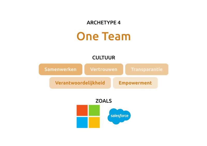 one team cultuur met voorbeeld waarden en bedrijven 