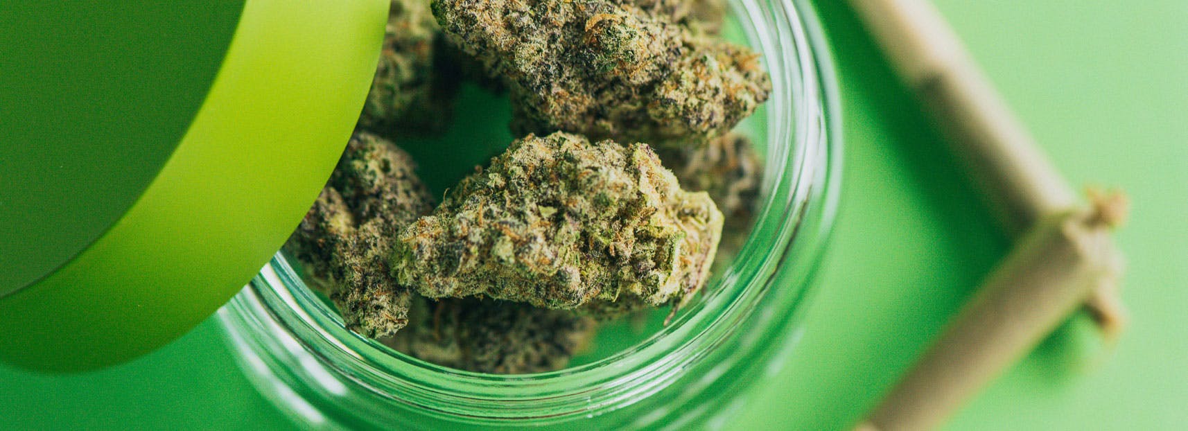indica vs sativa