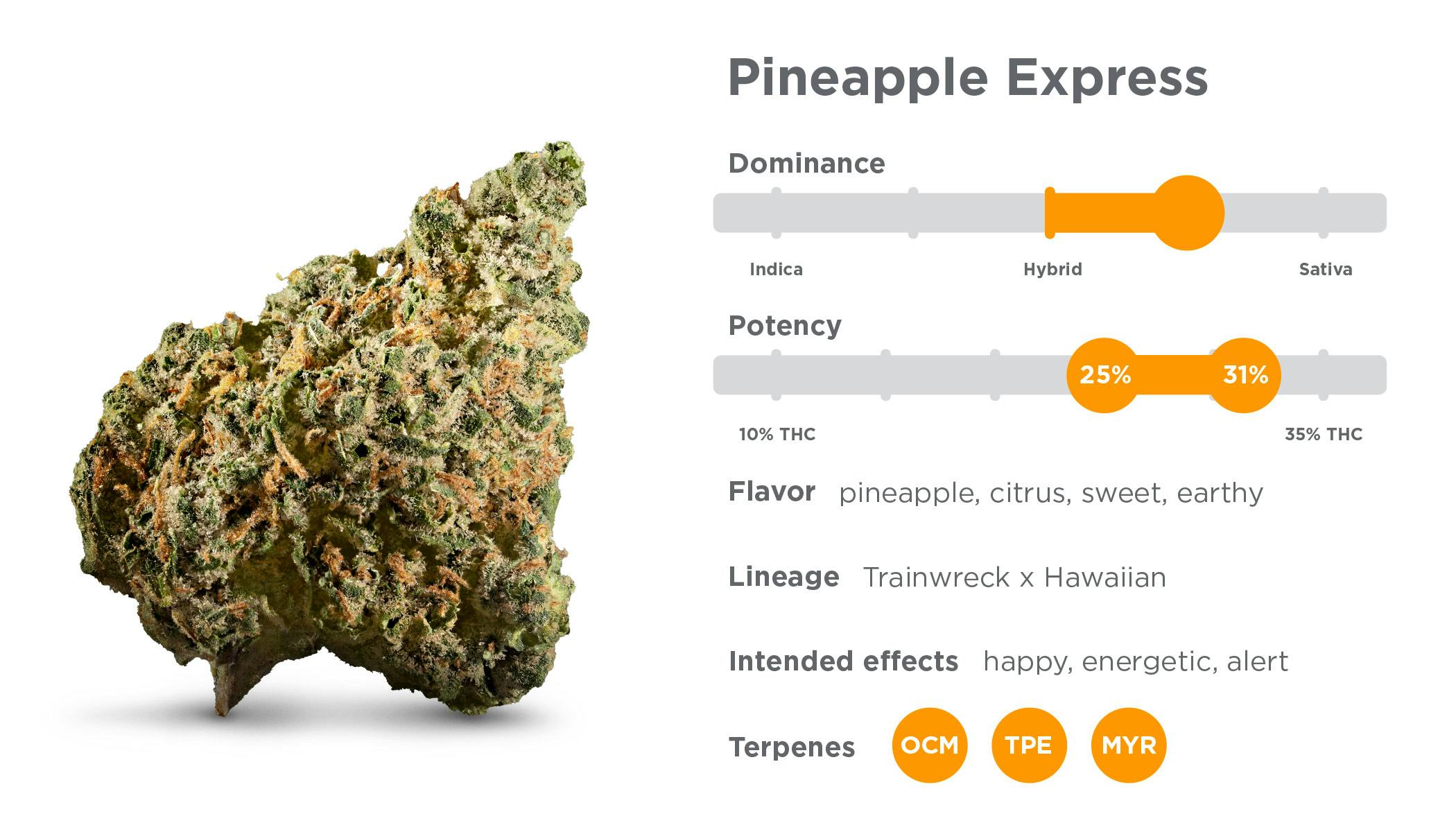 Pineapple Express Strain | Sunnyside Dispensaries