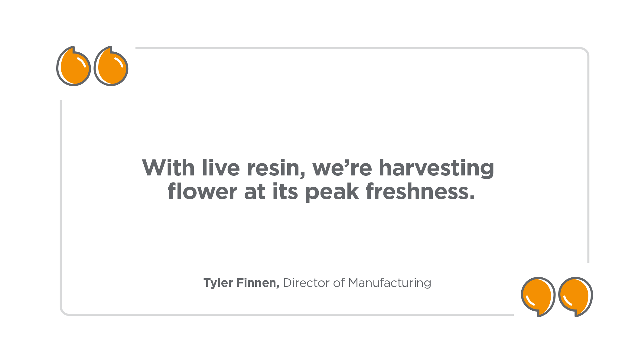 "With live resin, we're harvesting flower at its peak freshness." – Tyler Finnen, Director of Manufacturing