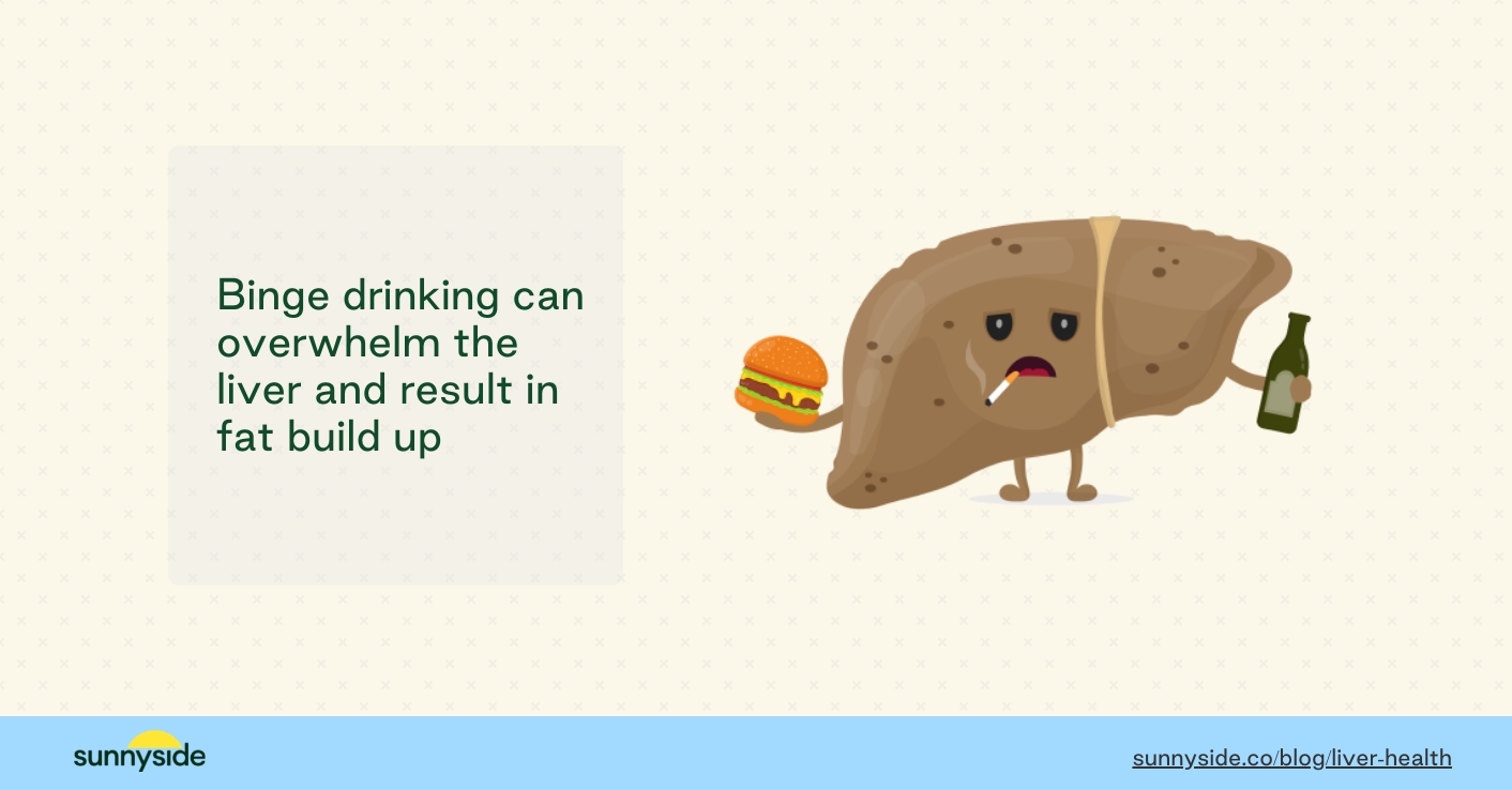 Binge drinking effects on liver