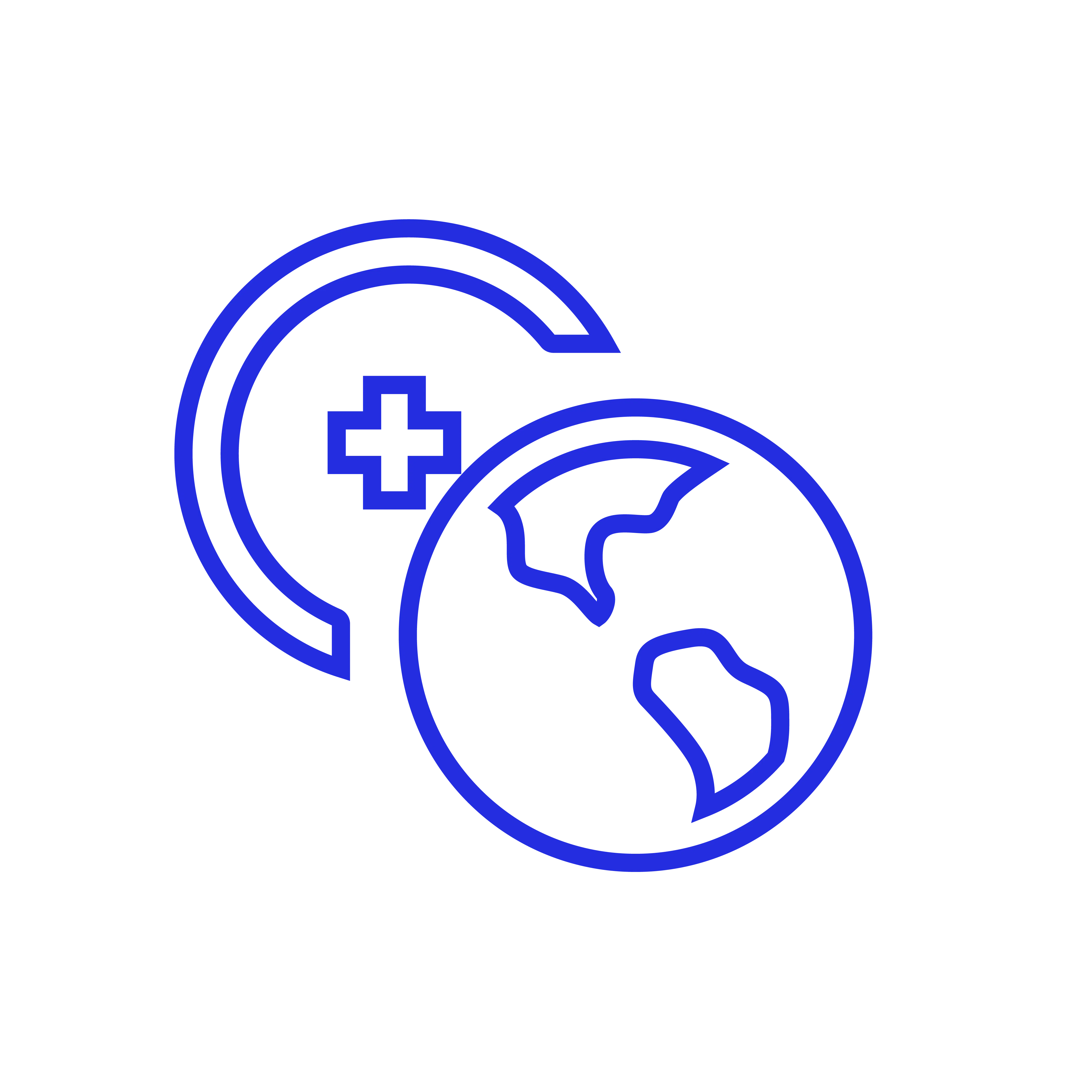 Globus mit Pluszeichen Icon