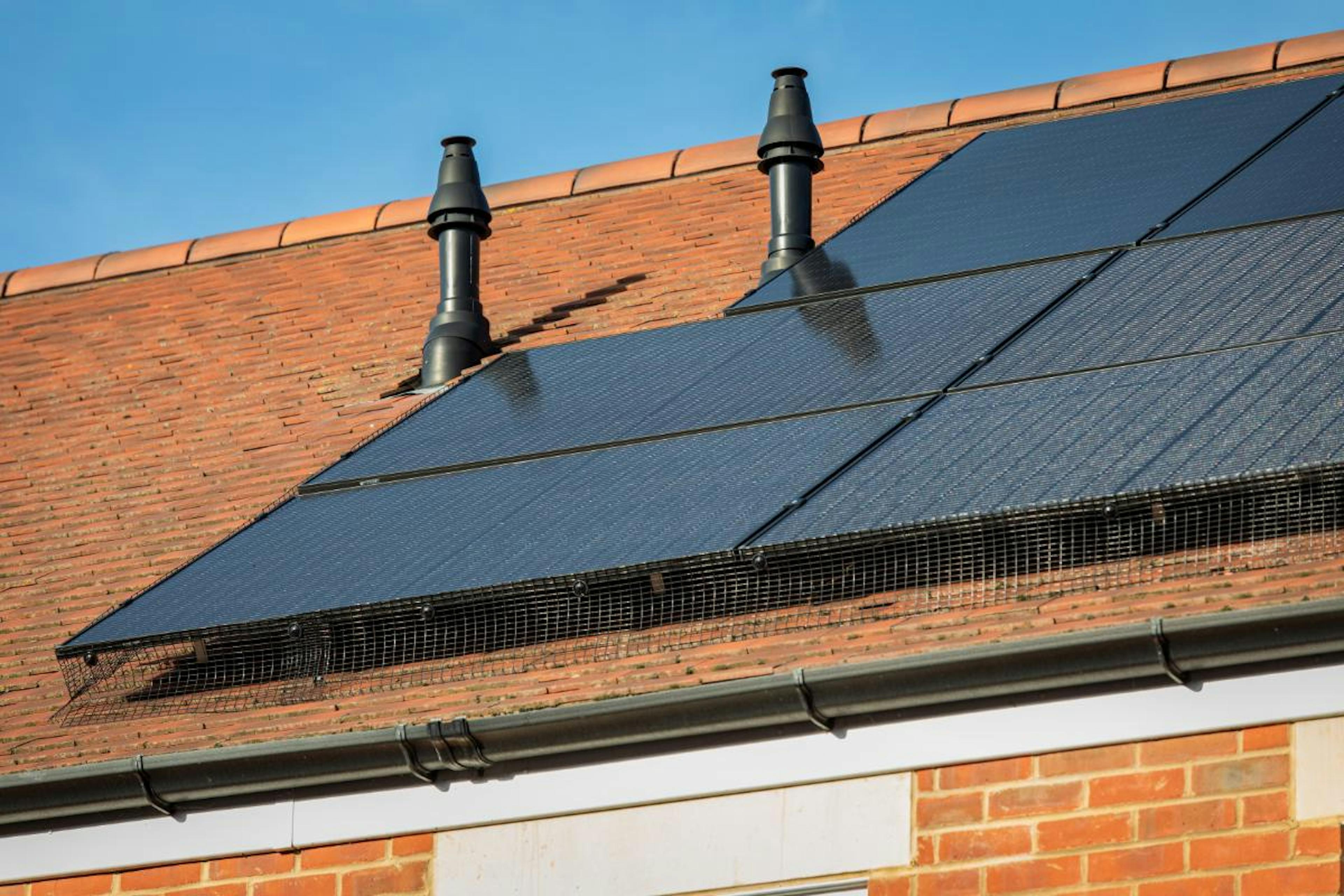 A photo of solar panels with bird netting