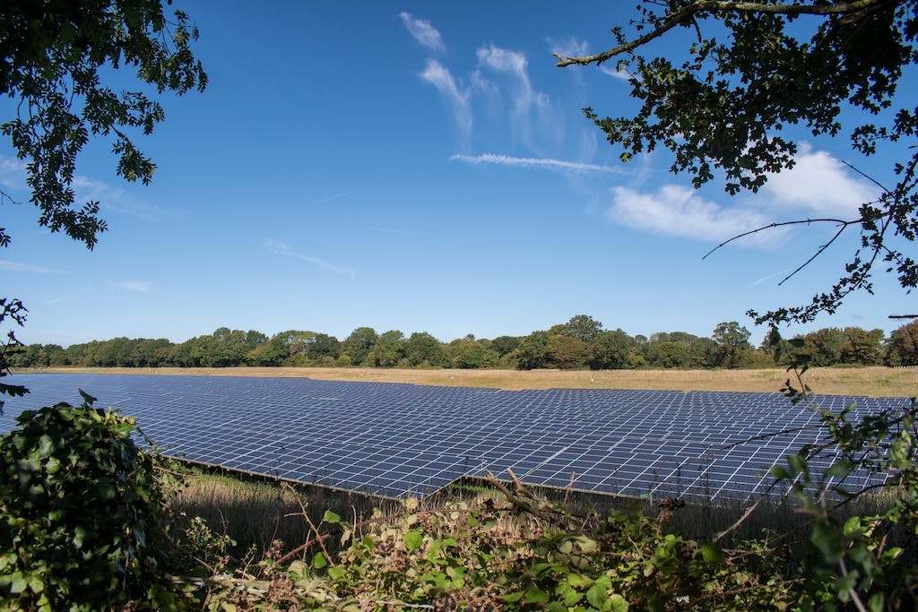Solar panels in a field in the south of England, trees on either side, blue sky
