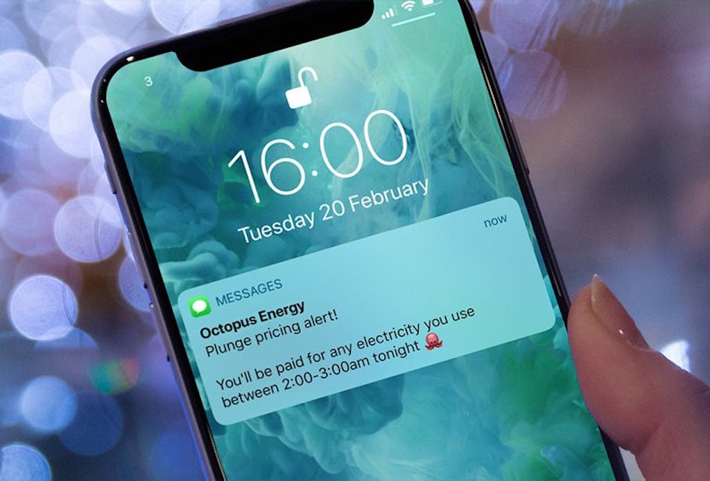 A phone showing a message on the home screen from Octopus Energy, altering the owner to a Plunge Pricing period in their Agile Octopus tariff