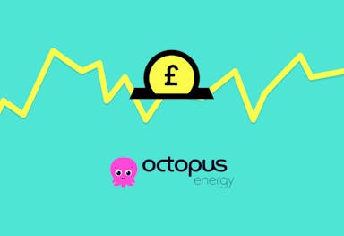 A graphic with a yellow line going up and down behind a yellow coin with a black pound symbol going into a black slot, above the Octopus Energy logo. The background is aquamarine.