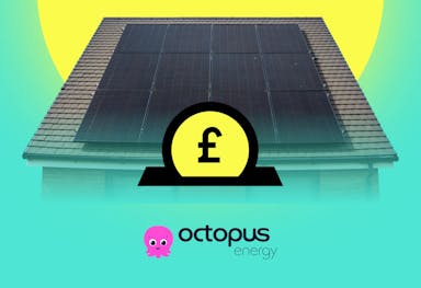 A yellow coin in a slot with a black pound sign on it, against a house with black solar panels, above the Octopus Energy logo, all against an aquamarine background and a yellow sun