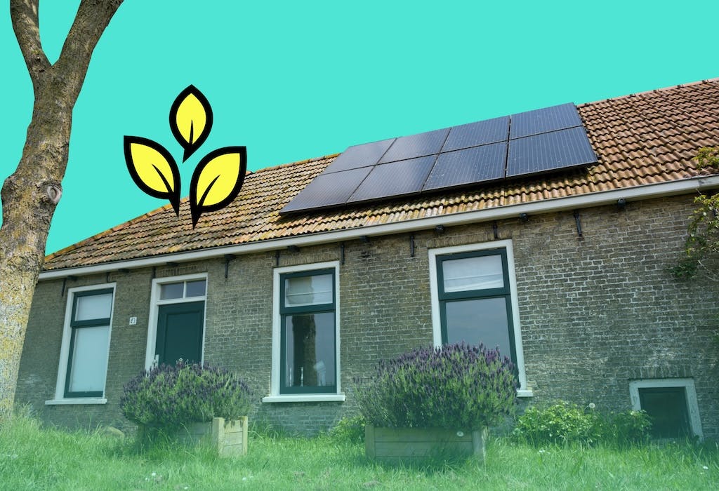 Solar panels on a house, front garden, tree on left hand side, cartoon yellow leaves, teal sky
