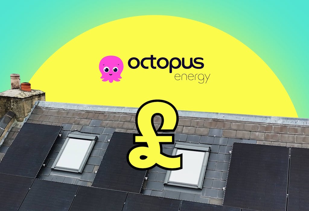 The Octopus logo above a graphic of a yellow pound sign, against a sun and a house with black solar panels, all against an aquamarine background