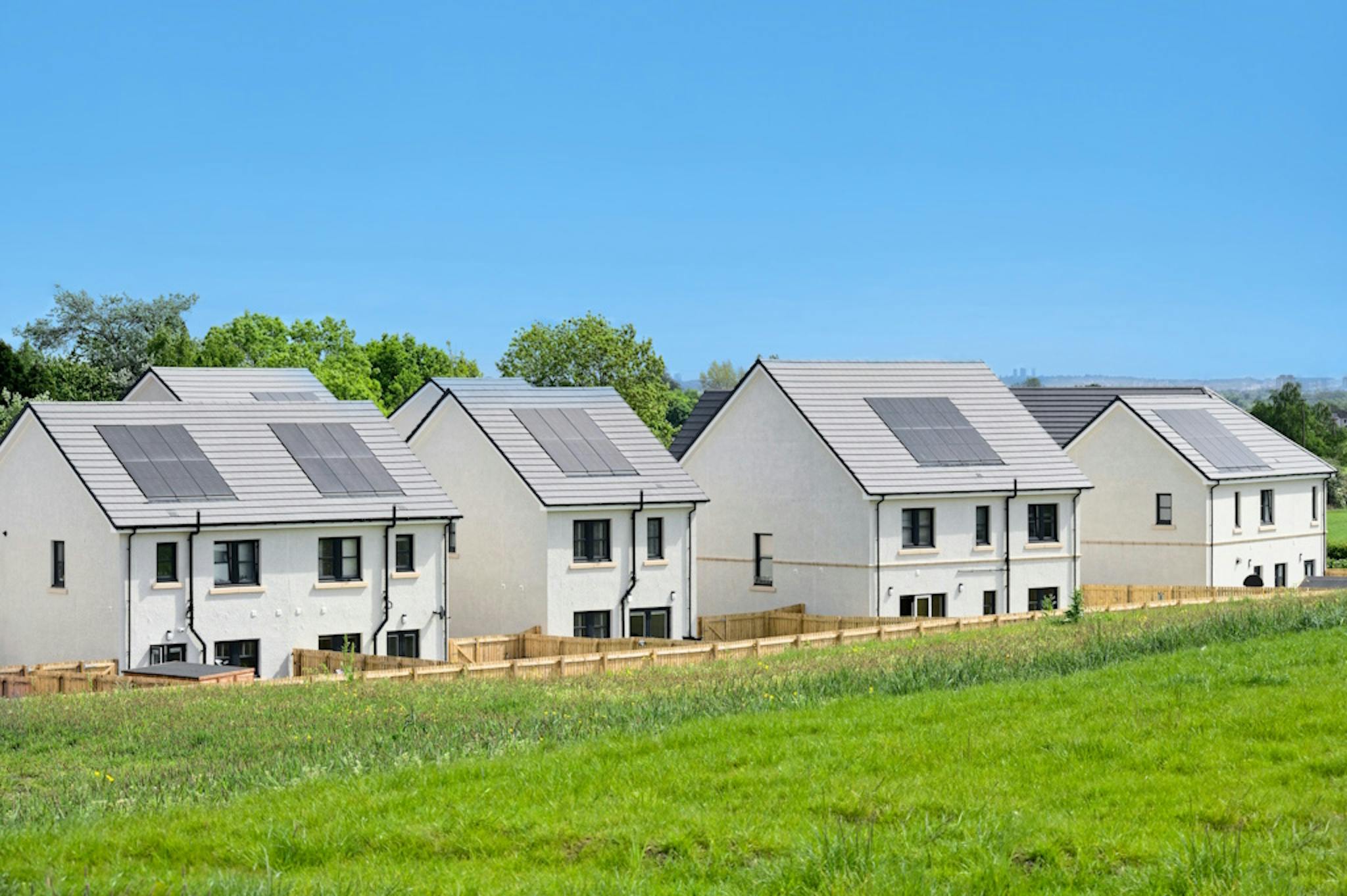 grey roofs with black solar panels, on white roofs, by a green space, under a blue sky