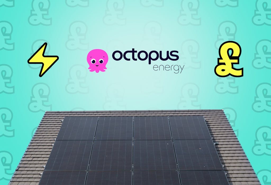 the Octopus logo and graphic representations of a lightning bolt and pound sign above a house with black solar panels, against an aquamarine background