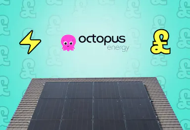 the Octopus logo and graphic representations of a lightning bolt and pound sign above a house with black solar panels, against an aquamarine background