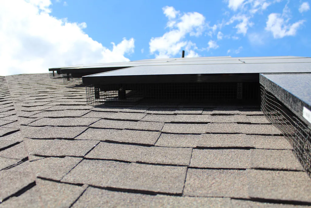 solar panels with mesh protection on a grey roof