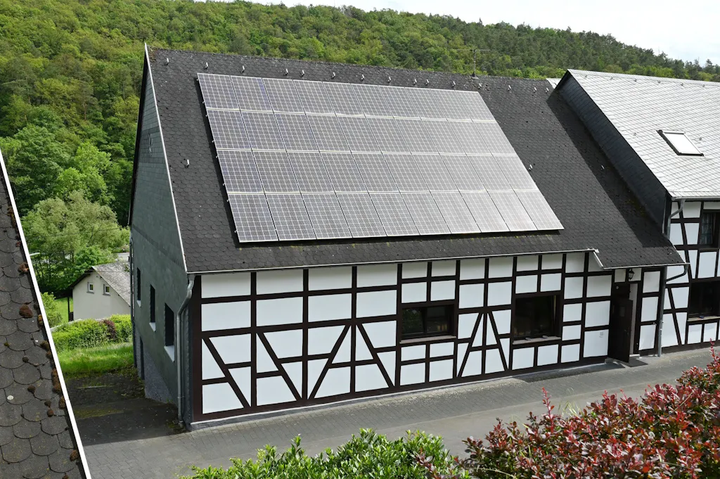 solar panels on a dark roof, against a forest