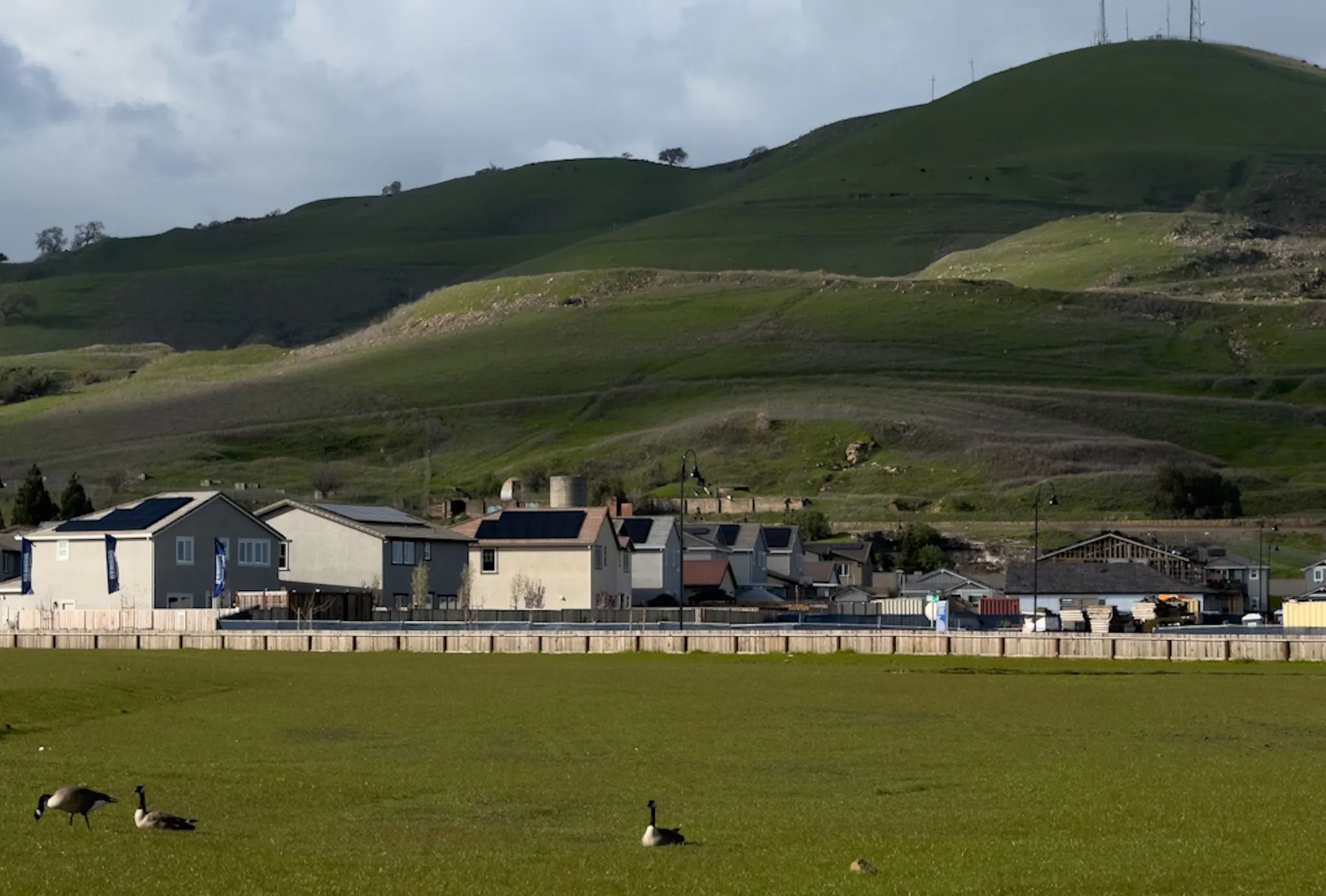 Homes with black solar panels at the bottom of a green hill