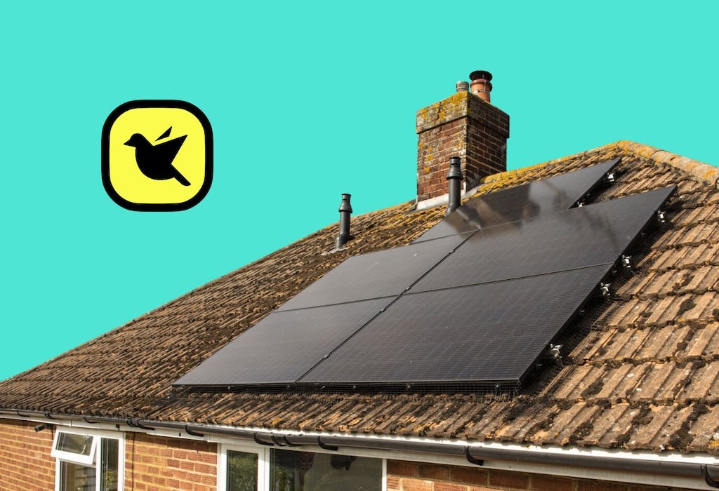 Black solar panel array on a UK rooftop, cartoon black bird in a yellow box hovering above it, turquoise background