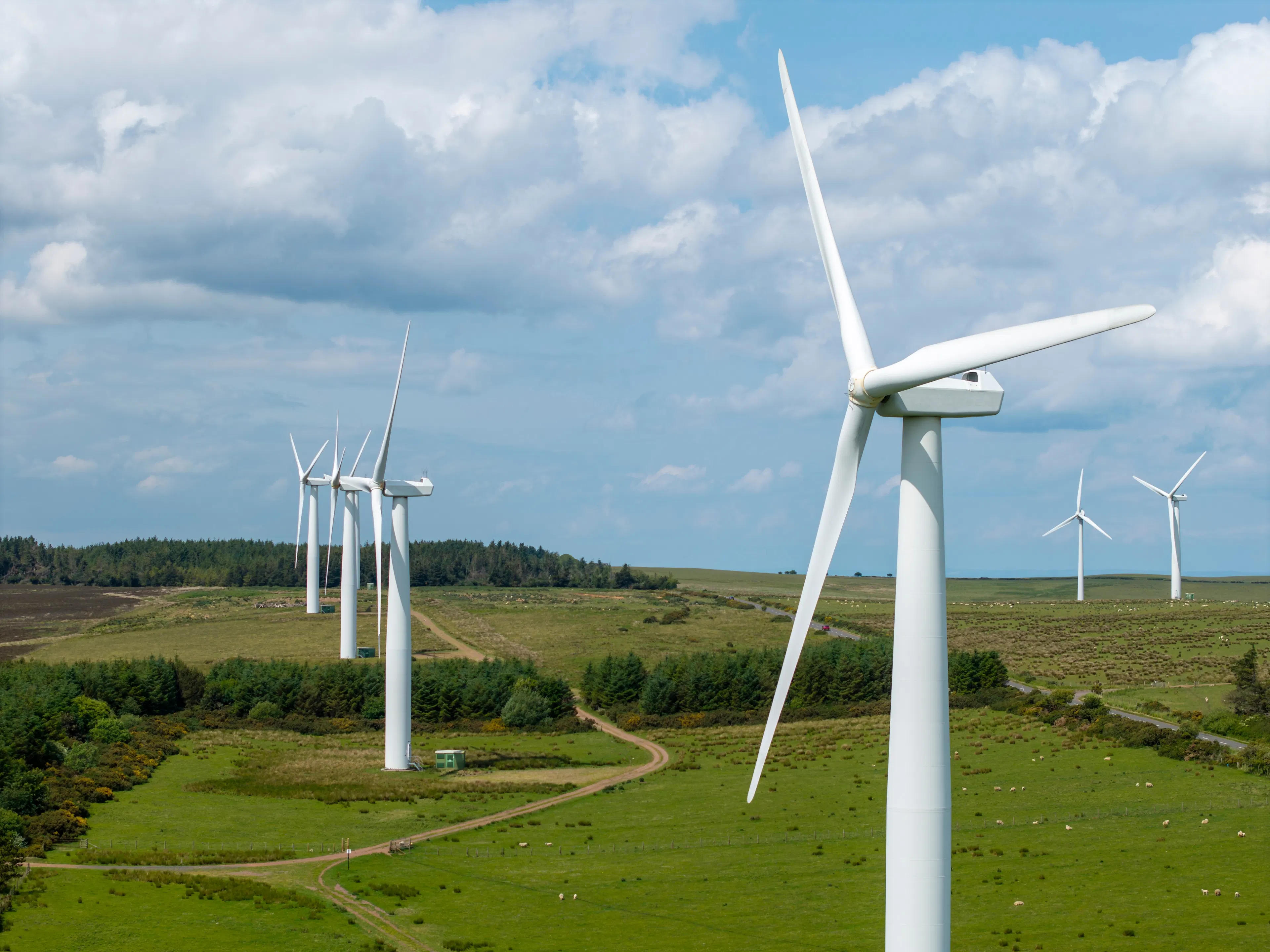 Wind farm photo