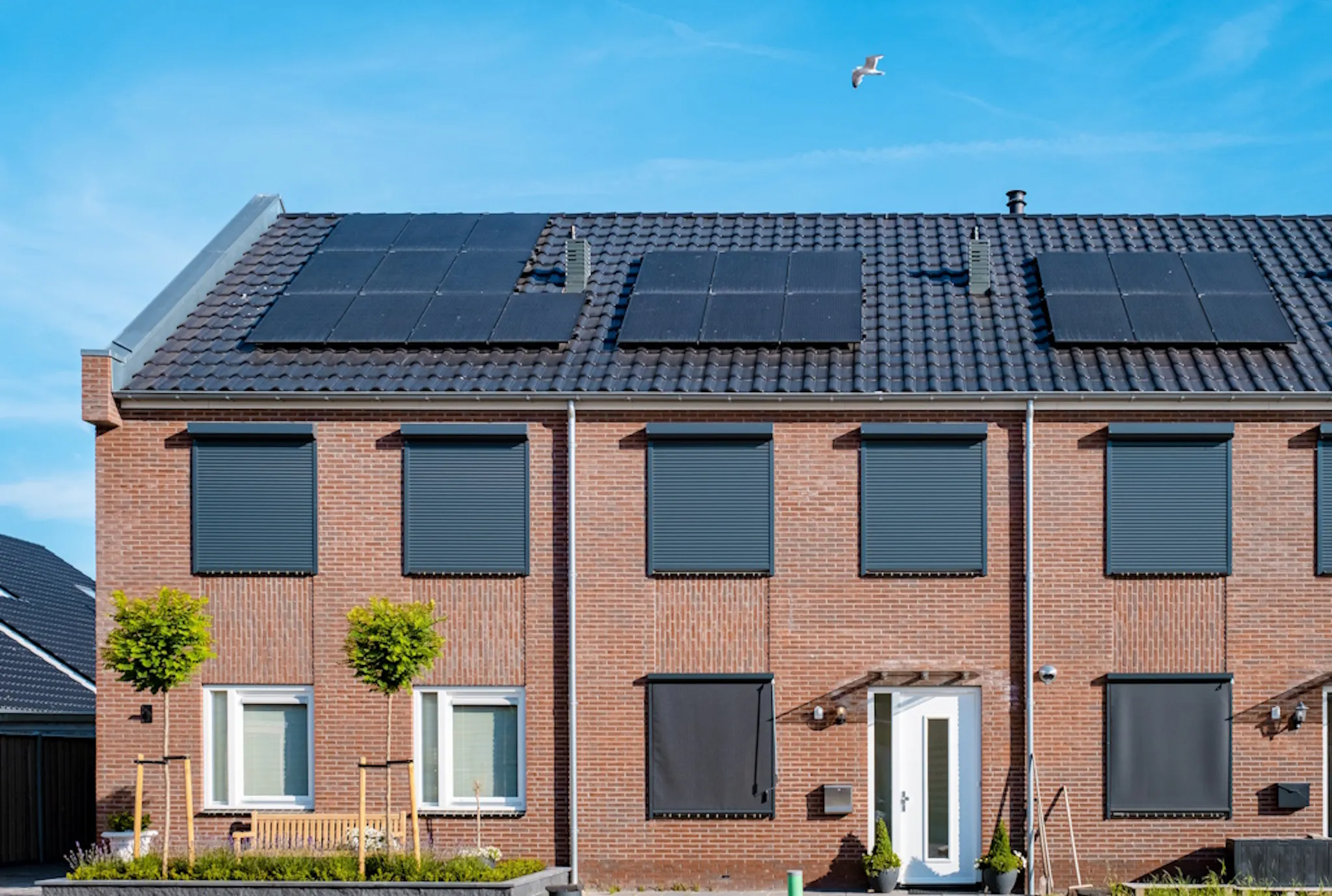 three brick homes, each with black solar panels on the roof
