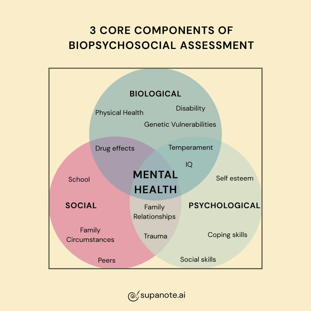 3 core components of Biopsychosocial Assessment