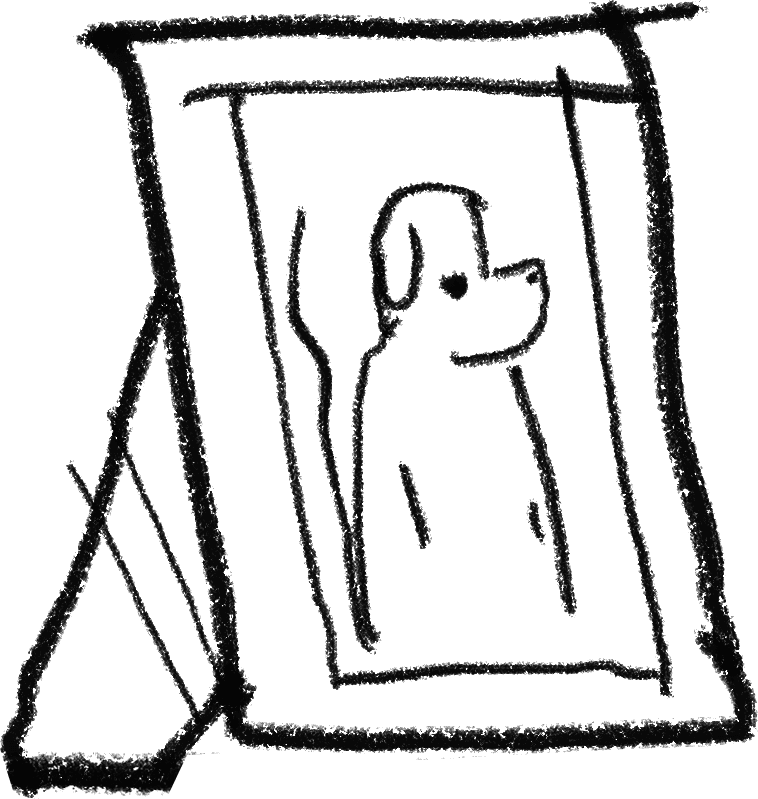 Cover image for biopsychosocial-assessment-guide