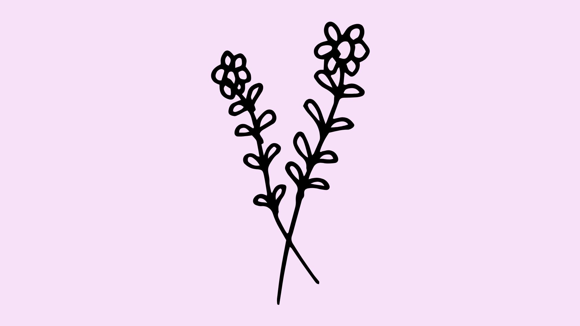 Cover image for lcsw-salary-private-practice