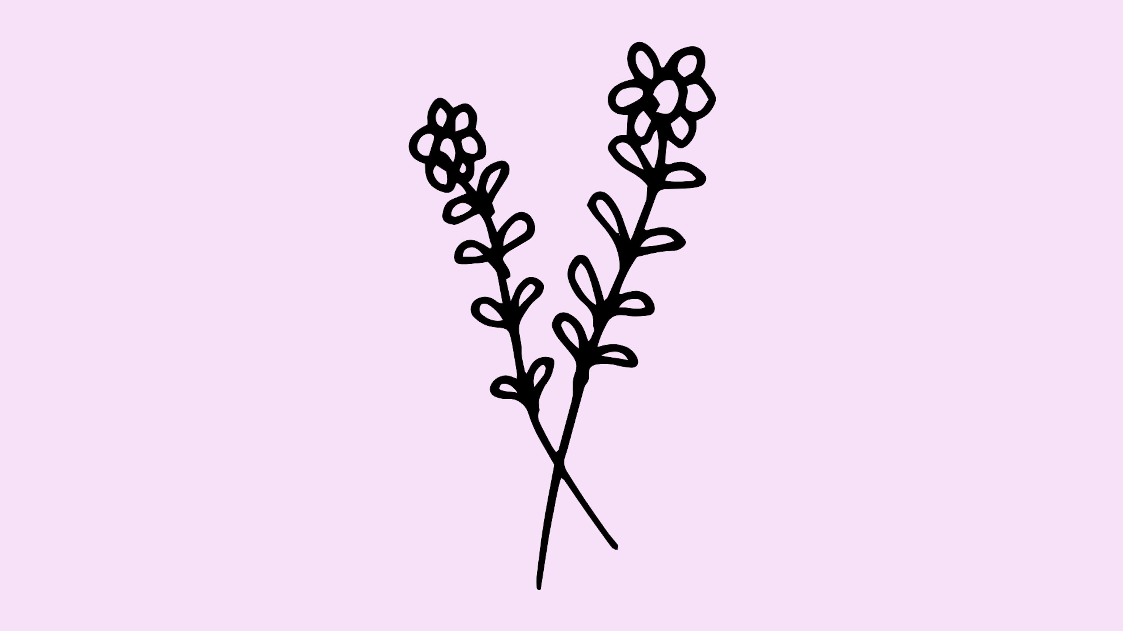 Cover image for lcsw-salary-private-practice