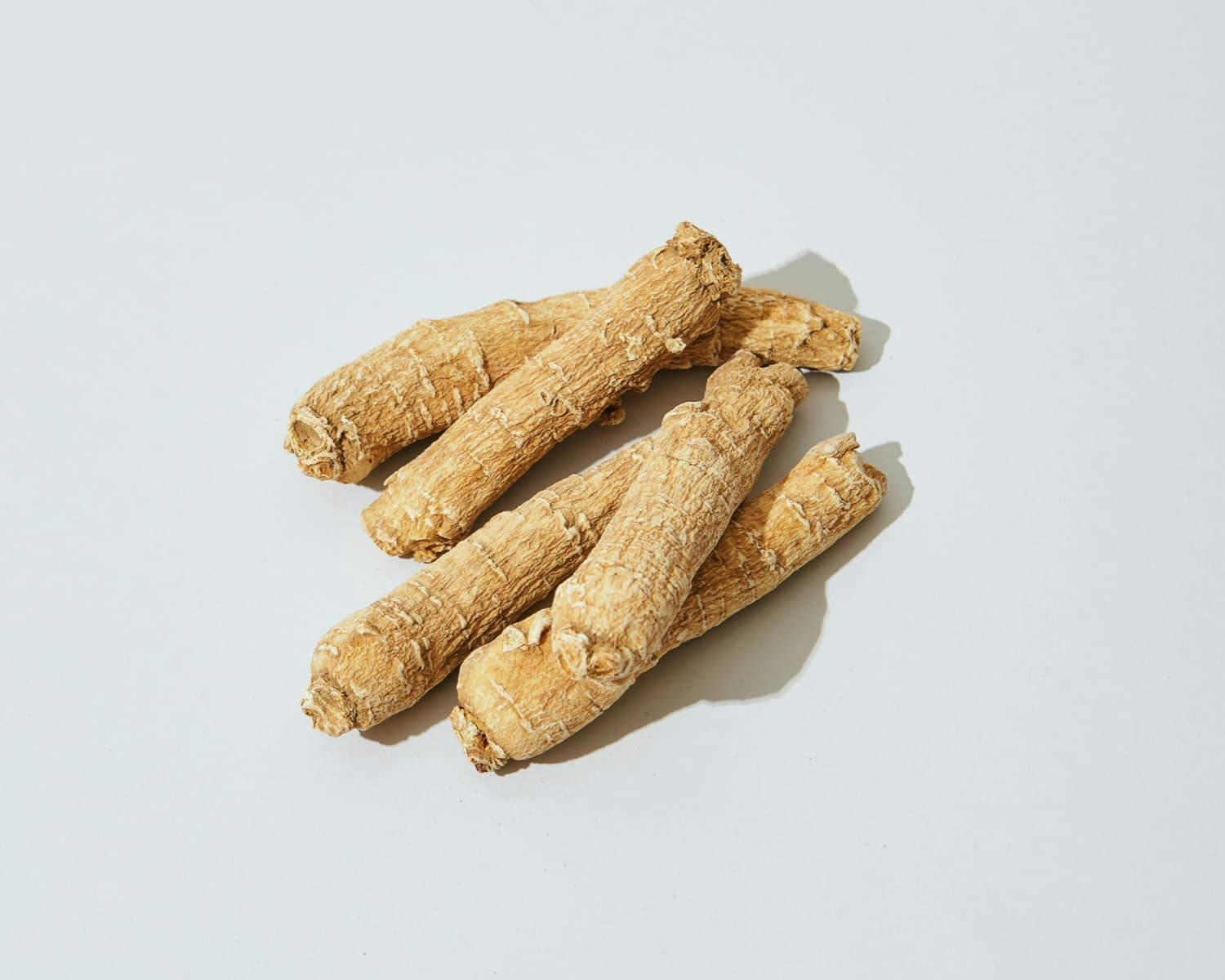 American Ginseng from Wisconsin