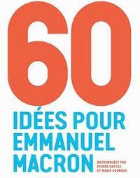 60 idées pour Emmanuel Macrion