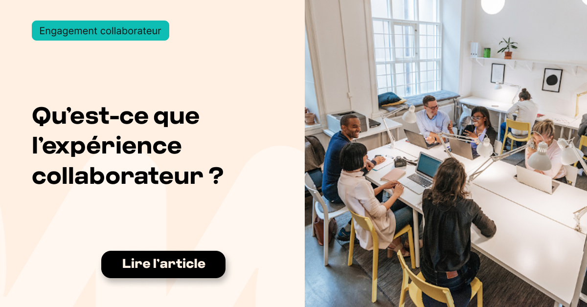 Expérience Collaborateur : Définition, Enjeux Et Importance