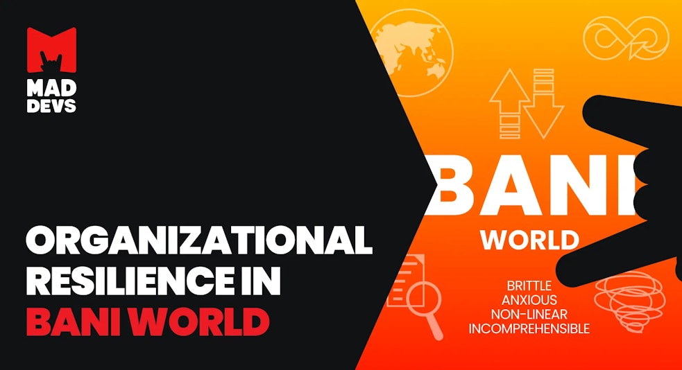 Organizational Resilience in BANI World