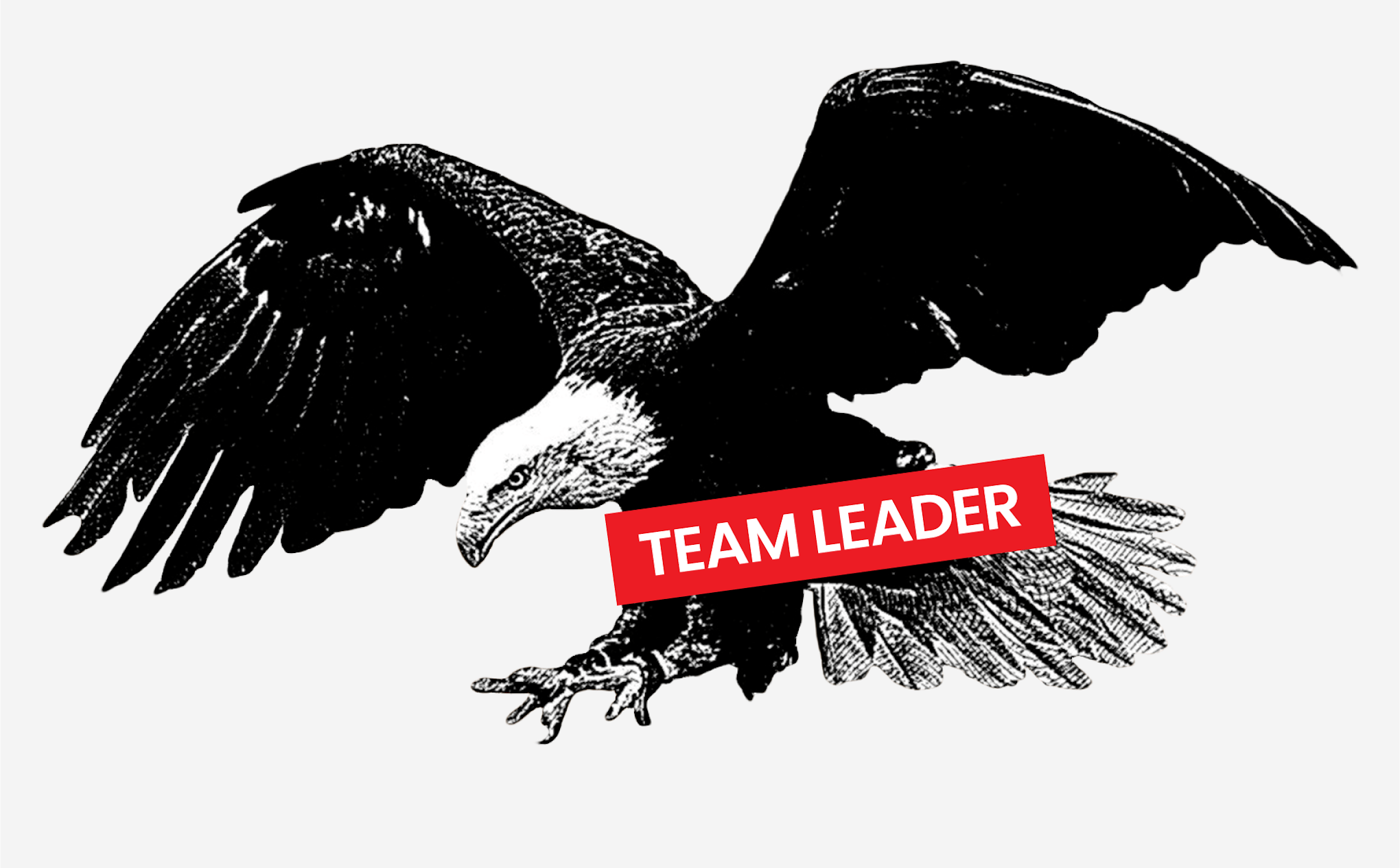 Team Leader.