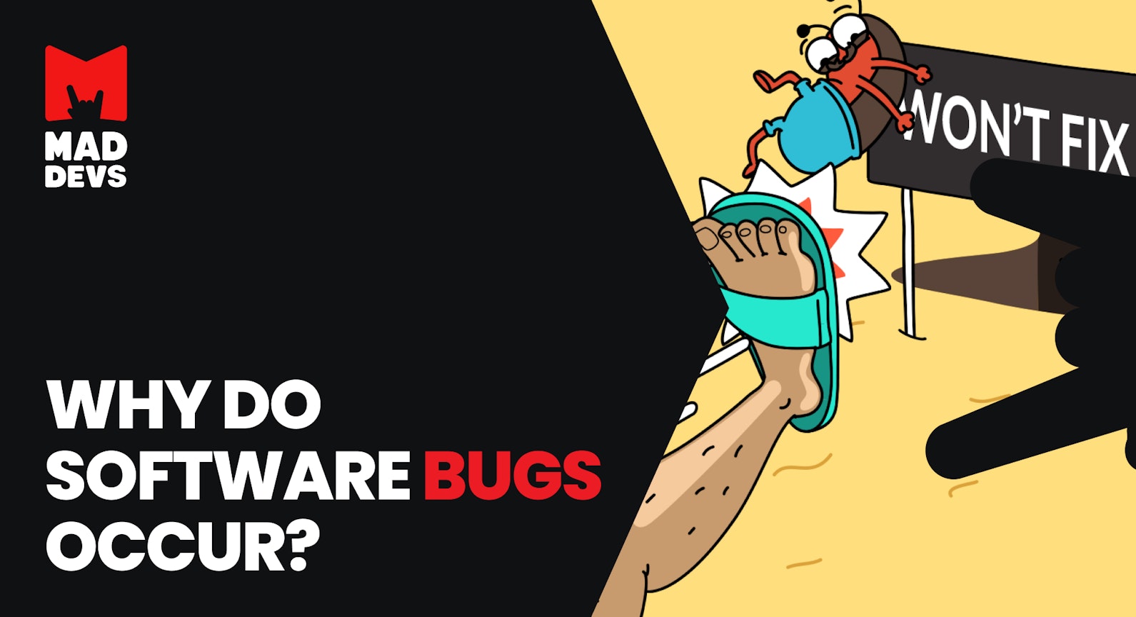 Why do software bugs occur?