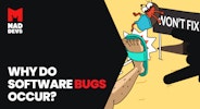 Why Do Software Bugs Occur?