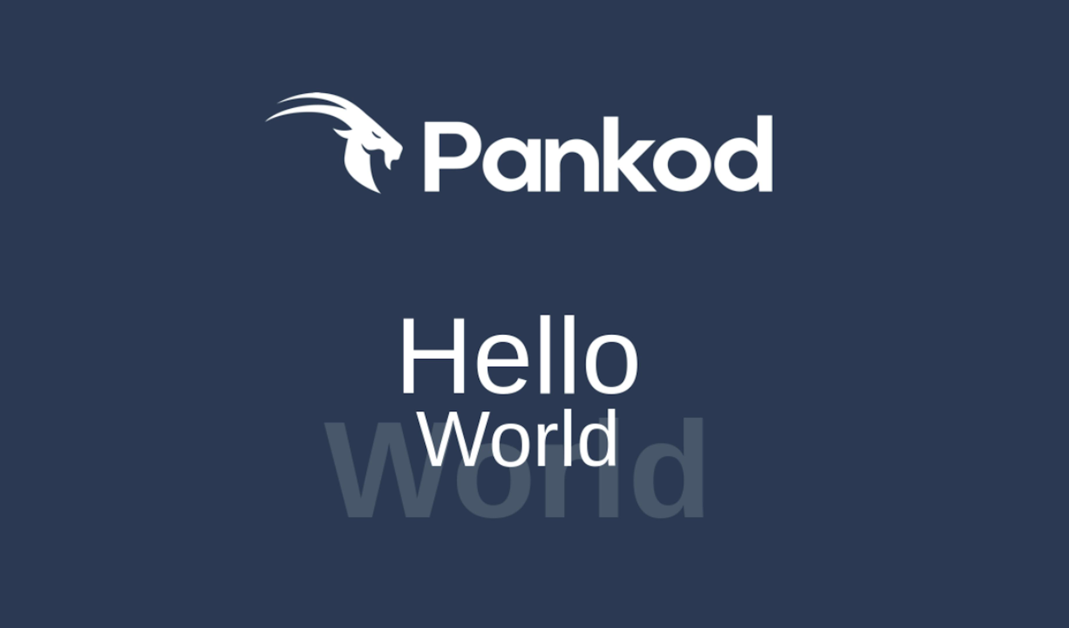 Pankod Boilerplate Home Page Image.
