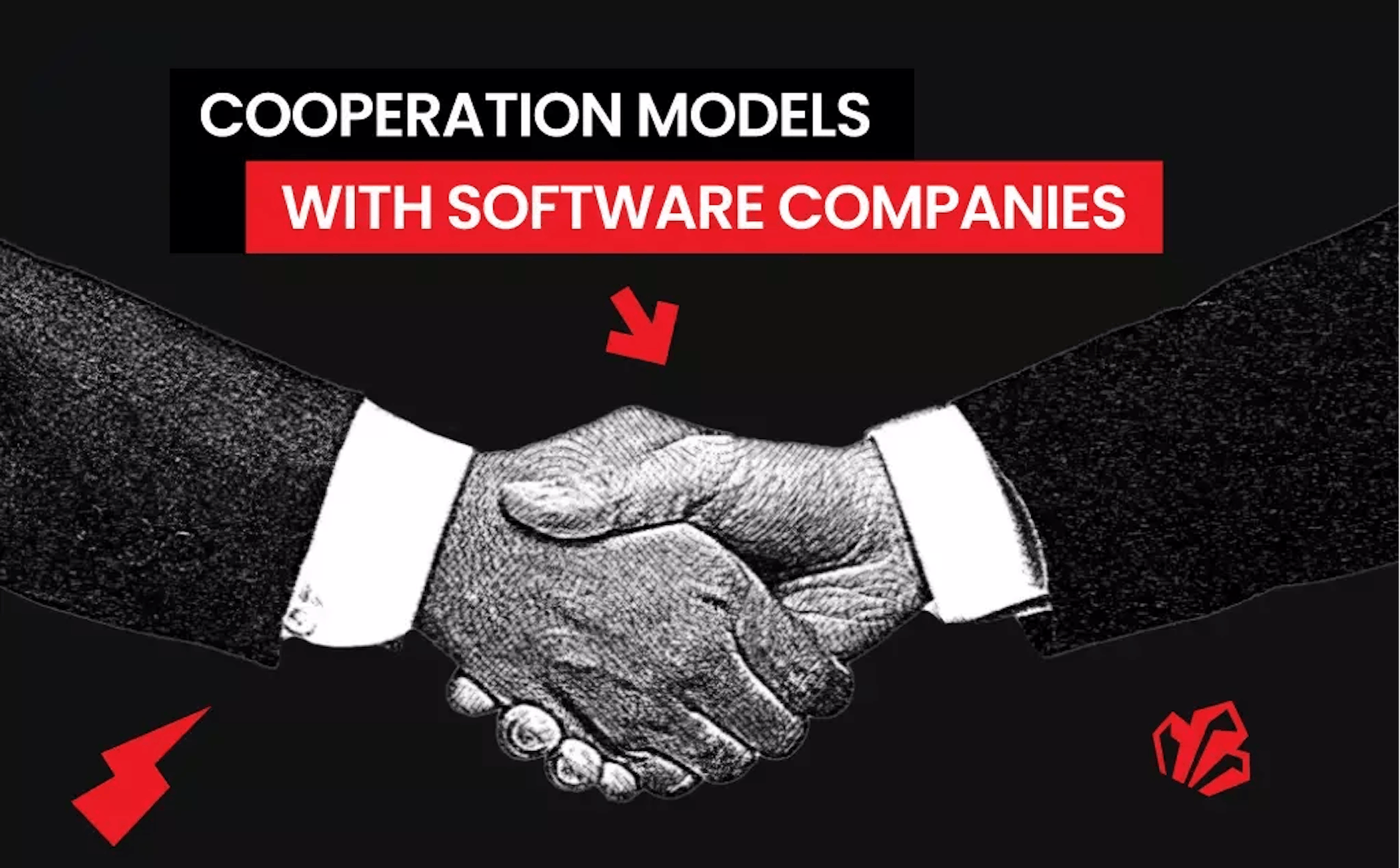 5. Cooperation Models With Software Companies