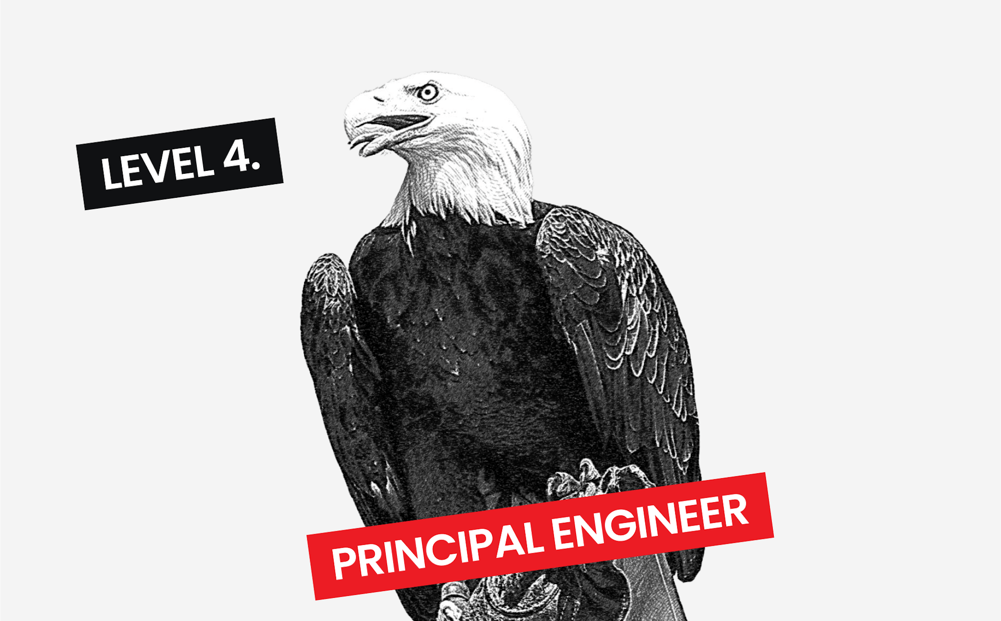 Principal engineer.