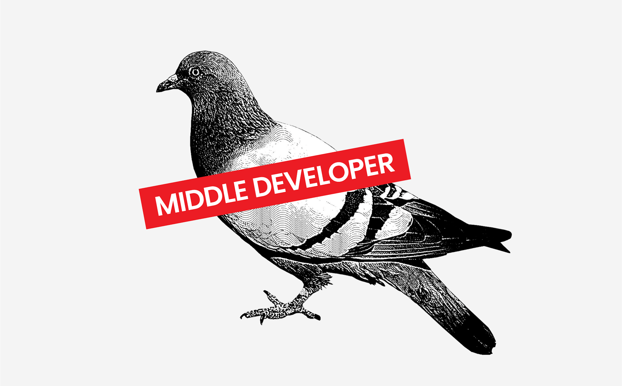 Mid Level Developer.
