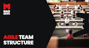 Agile Software Development Team Structure: Building a Dream Team